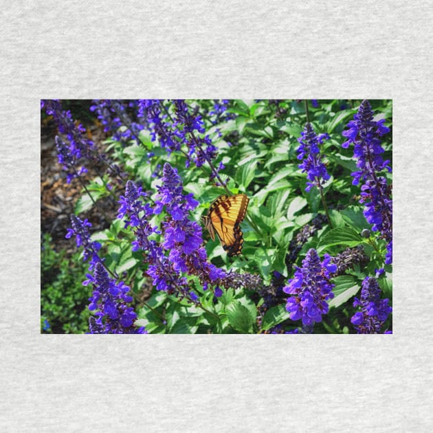 Monarch Butterfly Among The Lavender by JimDeFazioPhotography